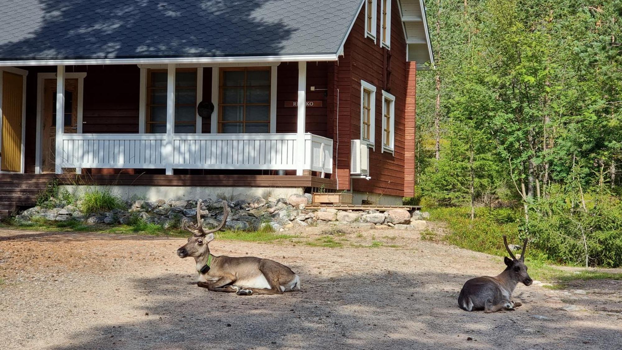 Riekko Chalet Rovaniemi Kültér fotó